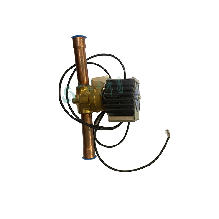 Solenoid Valve  613296