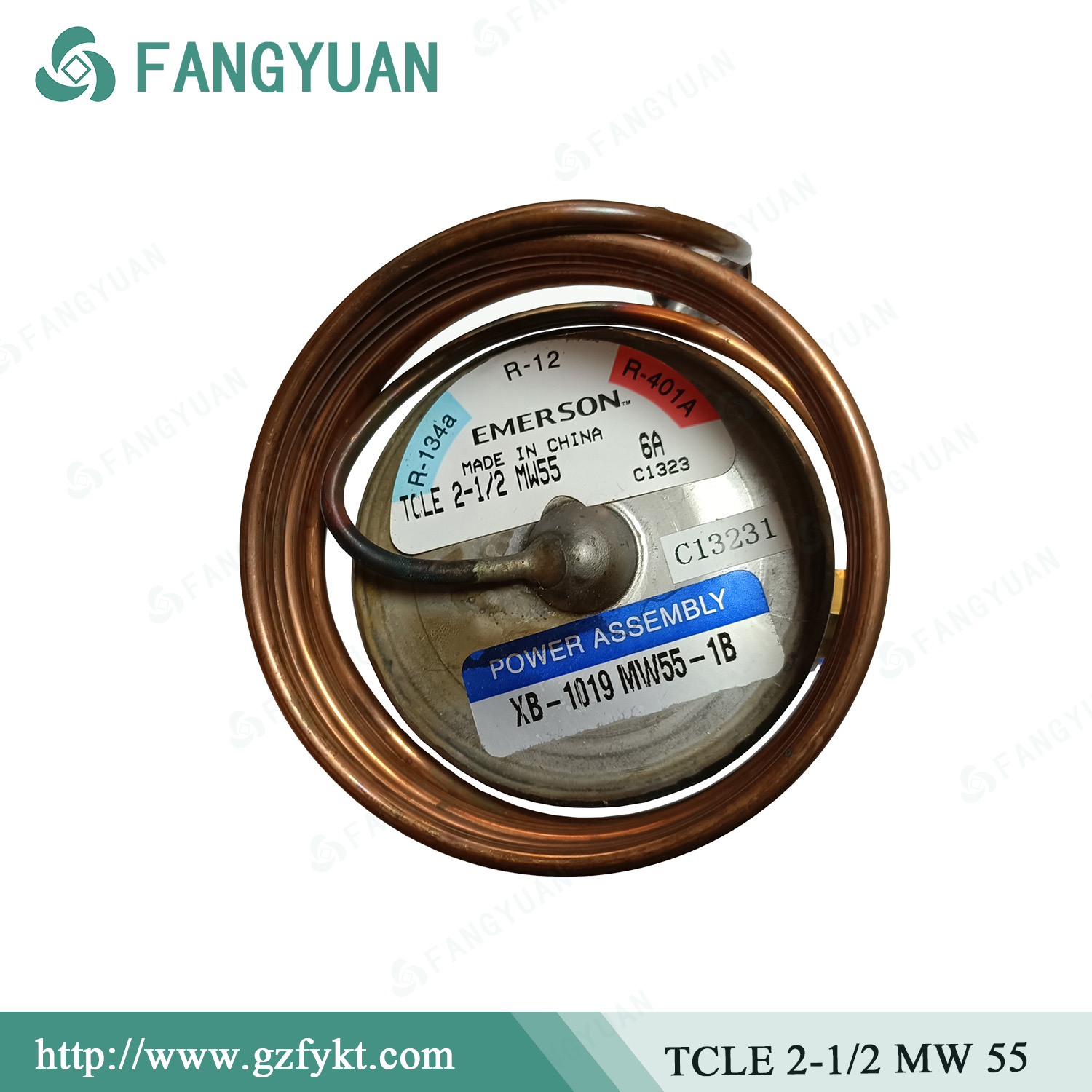 EMERSON TCLE 2-1/2 MW55