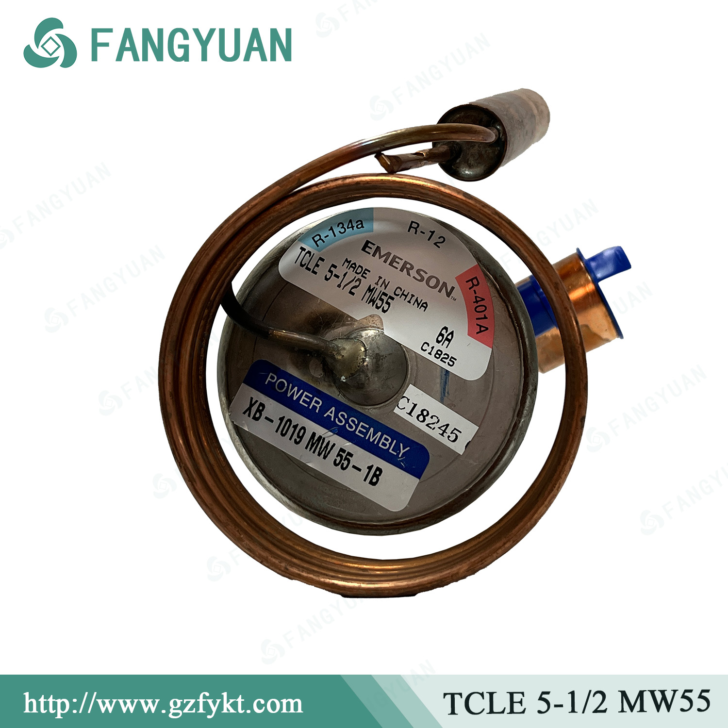 EMERSON TCLE 5-1/2 MW55