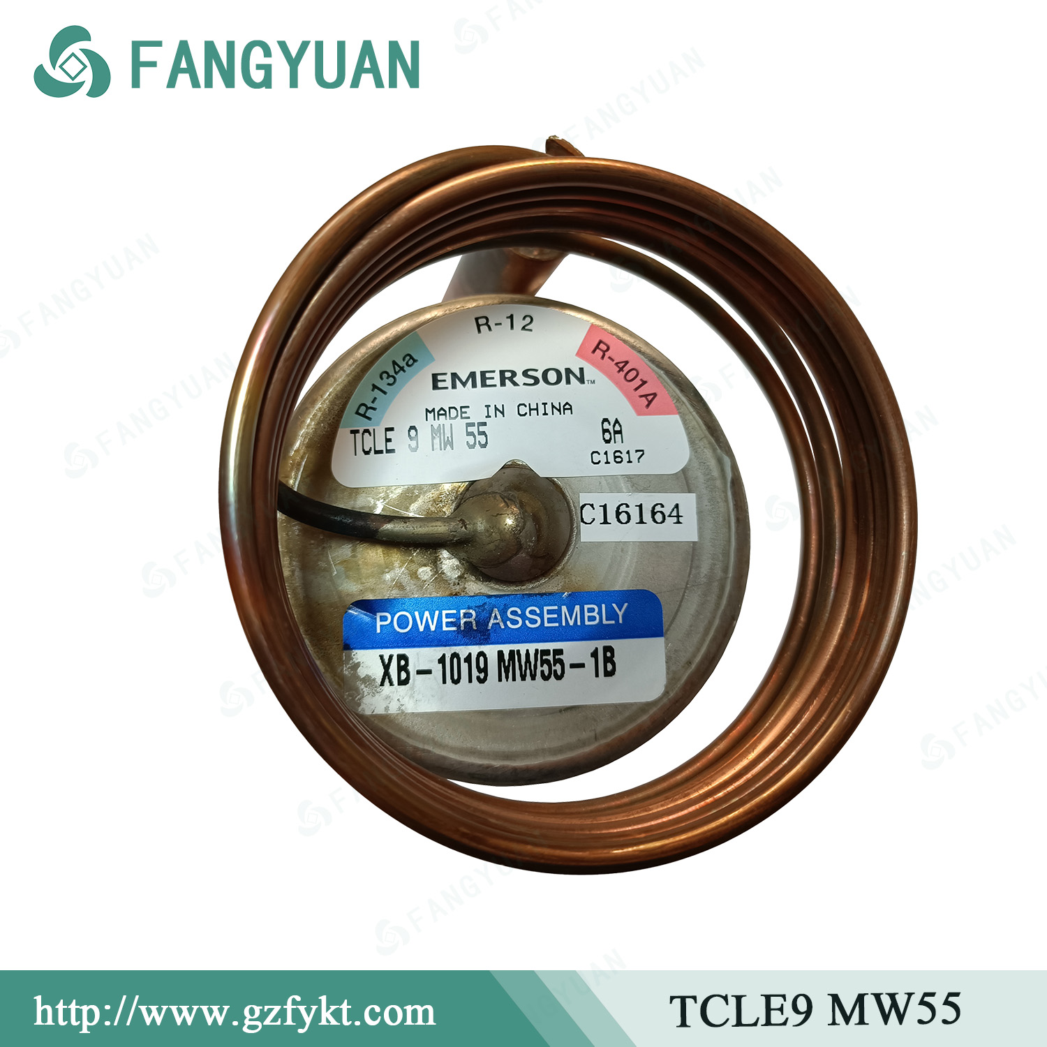 EMERSON TCLE 9 MW55