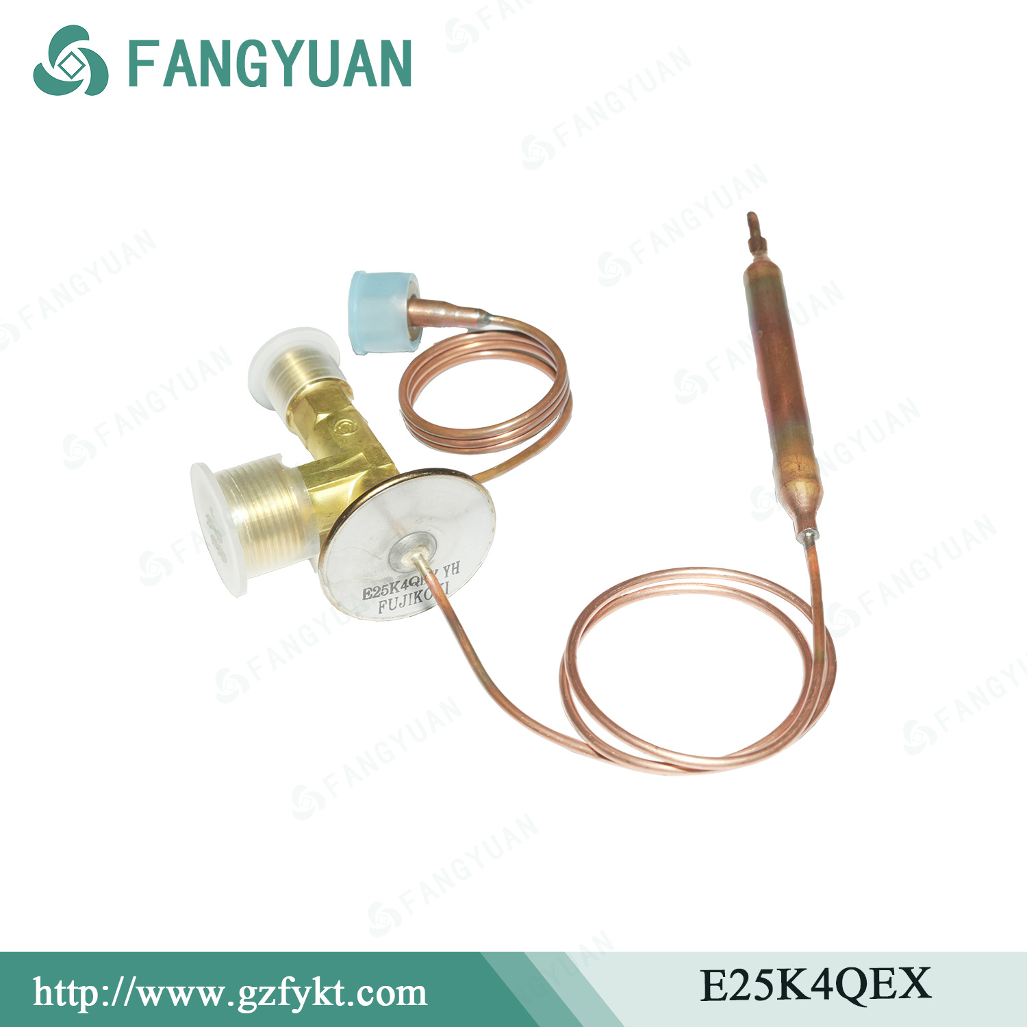 FUJIKOKI E25K4QEX