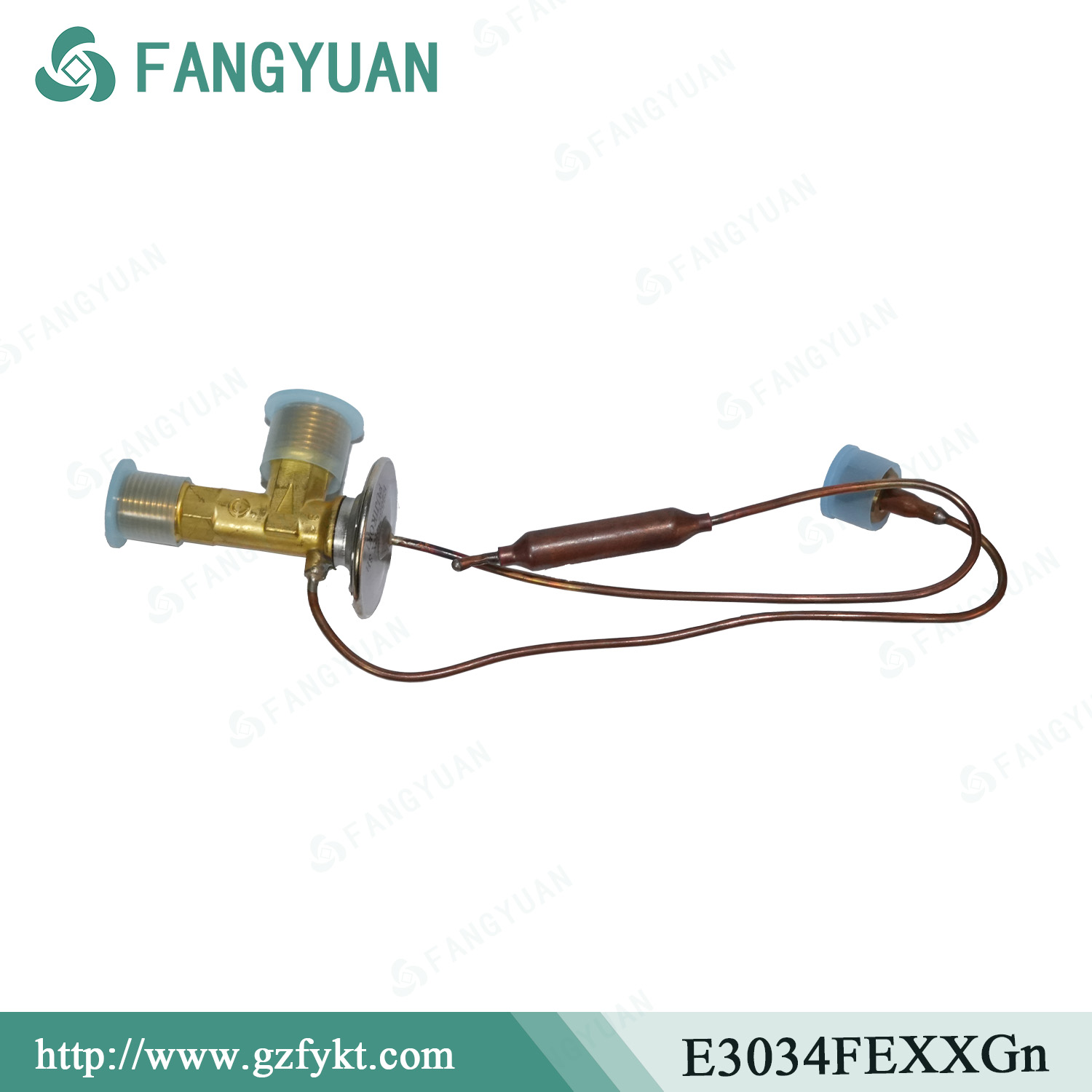 FUJIKOKI E3034FEXXGn